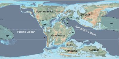 Otero plantea que esta diversidad de vertebrados marinos hallados en la zona, hasta ahora reafirma la hipótesis de un corredor marino que conectó la fauna del Atlántico norte y la del Océano Pacífico.