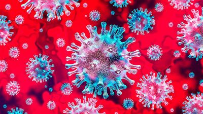 "Lo que hicimos fue vestir el VIH con la proteína superficie del coronavirus", explica Ricardo Soto-Rifo sobre este sistema que permite cuantificar anticuerpos neutralizantes contra el SARS-CoV-2.