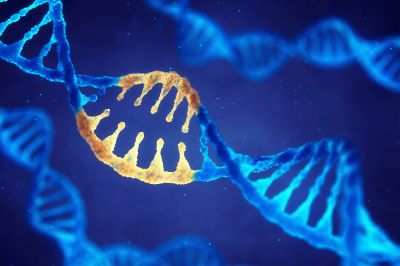 El CRG está enfocado en el desarrollo de las ciencias genómicas, un área multidisciplinaria que tiene su raíz en la genética y la biología.