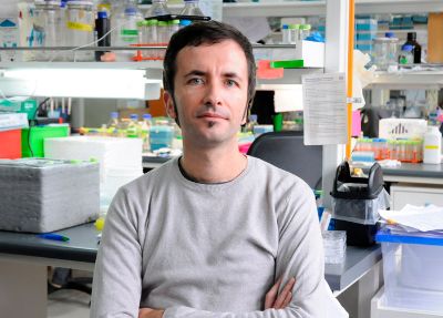 El investigador de la Facultad de Medicina de la Universidad de Chile y director del Instituto Milenio de Neurociencia Biomédica, Claudio Hetz.