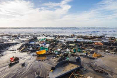 Una de las iniciativas adjudicadas se enfocará en desarrollar un reciclaje químico para aprovechar el poliestireno y evitar que los desechos plásticos contaminen el medio ambiente.