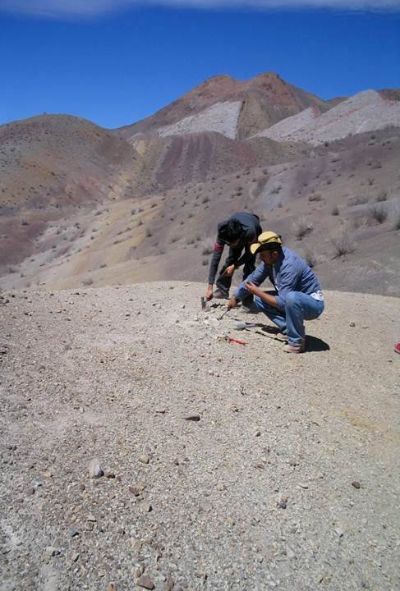 El hallazgo de este fósil se realizó en los años '90. Desde el año 2000, el estudio de estos restos fue realizado por un equipo de paleontólogos integrado por David Rubilar y Alexander Vargas.