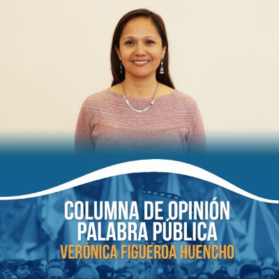 La Vicepresidenta del Senado, Verónica Figueroa Huencho, es académica del Instituto de Asuntos Públicos.