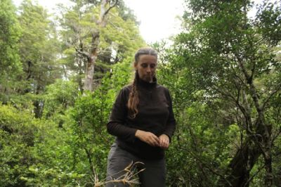 Paulette Naulin, ingeniera Forestal y académica de la Facultad de Ciencias Forestales y de la Conservación de la Naturaleza recuerda que "estamos compenetrados con la naturaleza".