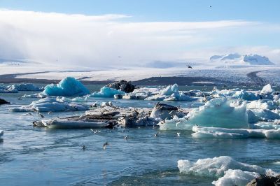 Algunos glaciares han tenidos retrocesos frontales de más de 20 kilómetros en los últimos 100 años.