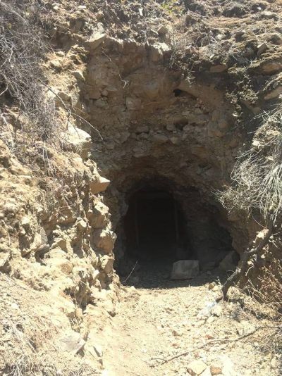 El hallazgo se realizó en una cueva o pique minero abandonado en la comuna de Lampa, mientras los investigadores buscaban microorganismos asociados a murciélagos.