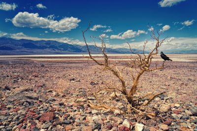 Las sequías y las grandes inundaciones son algunas de la tantas consecuencias del cambio climático.