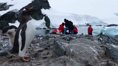 Una de las grandes novedades en torno al trabajo de este equipo es la integración de dos nuevas líneas de investigación: una enfocada en conservación y otra en el Sistema del Tratado Antártico.