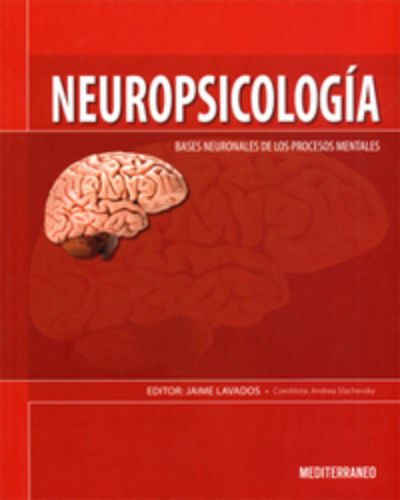 Neuropsicología: Bases neuronales de los procesos mentales