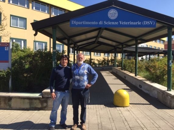 La pasantía se realizará en el Dipartamento de Scienze Veterinarie de la Università degli Studi di Torino (UNITO), Italia.