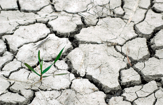 Este 17 de junio se conmemora un nuevo Día Mundial de la Lucha contra la Desertificación y la Sequía.