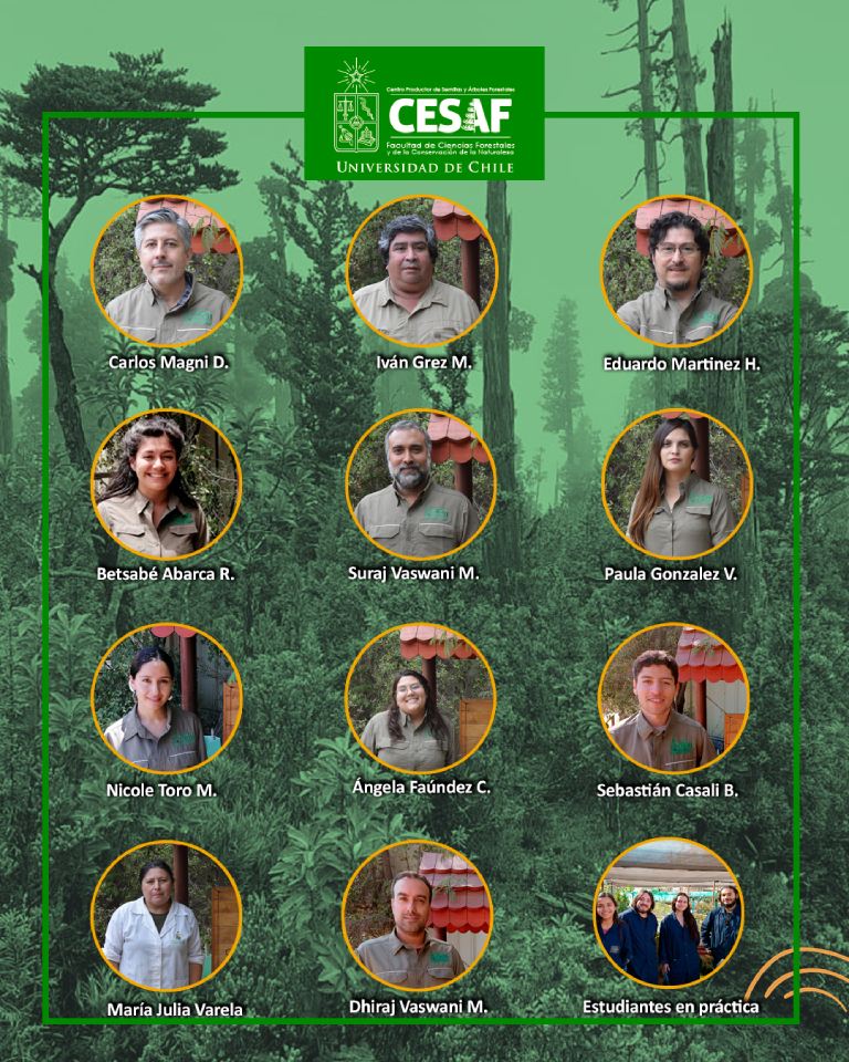 Afiche con los nombres y fotos de los integrantes de CESAF de la Facultad de Ciencias Forestales y de la Conservación de la Naturaleza.