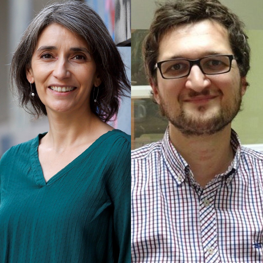 Cecilia Osorio y Antoine Maillet Facultad de Gobierno Universidad de Chile académicos